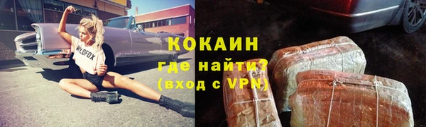 прущие грибы Баксан