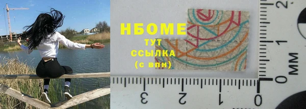 прущие грибы Баксан