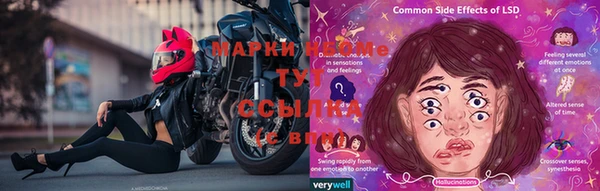 прущие грибы Баксан
