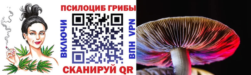 Купить закладки  Сосновка  Галлюциногенные грибы мухоморы 